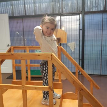 2023-05-09 at 20.43.56